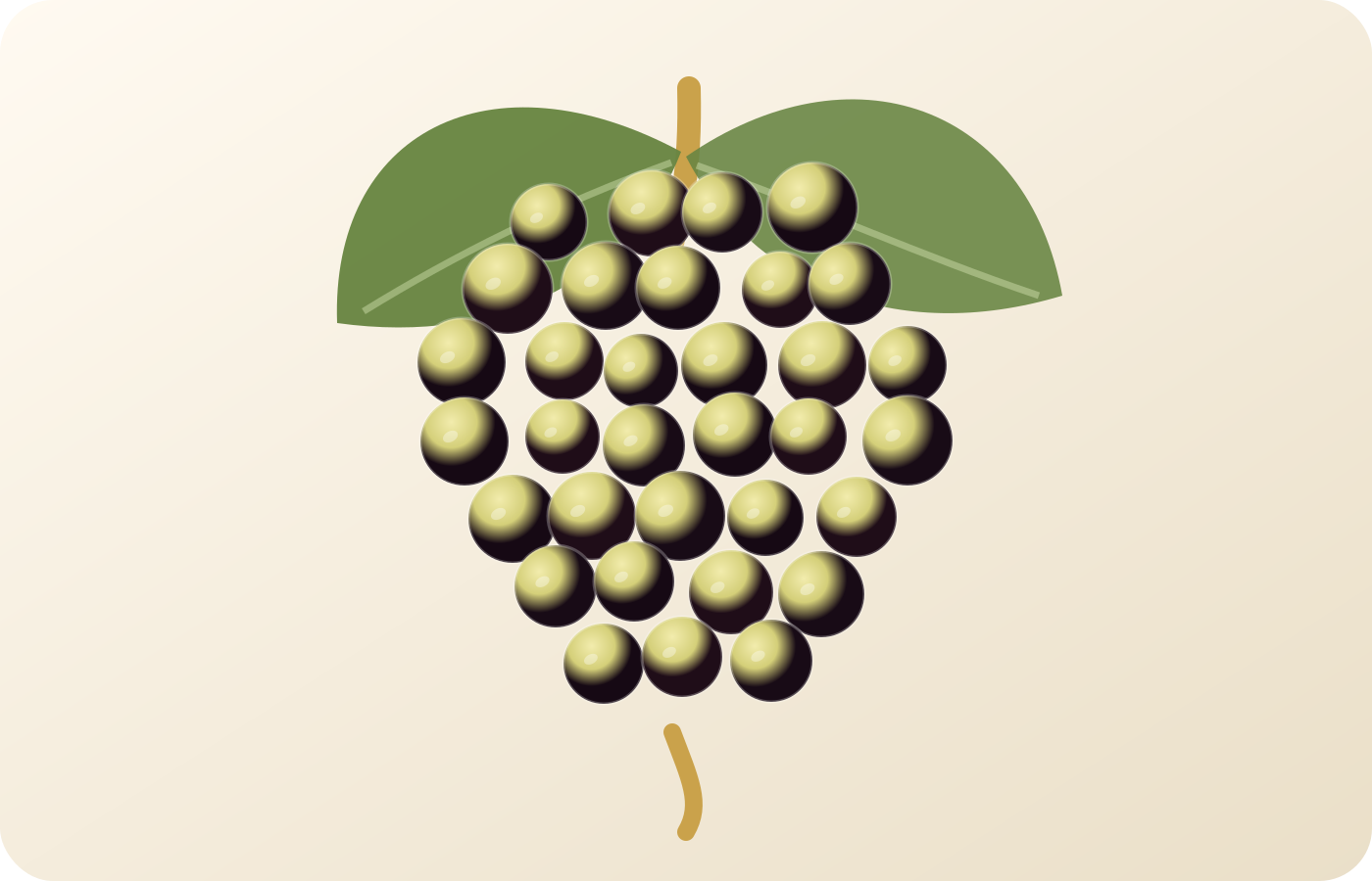 Godello grape illustration