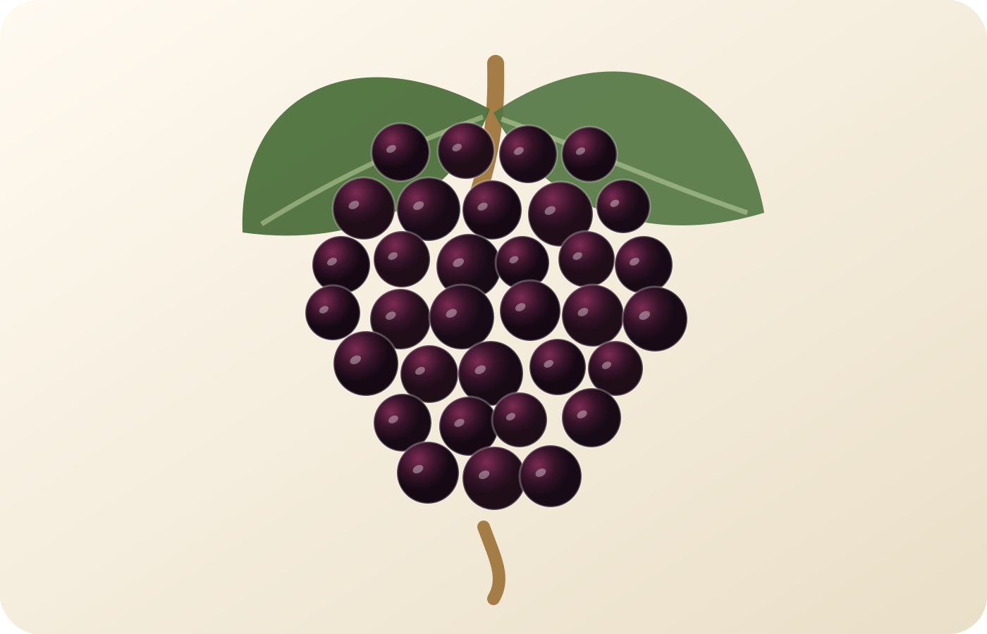 Mencía grape illustration