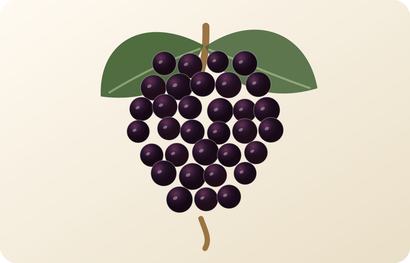 Monastrell grape illustration
