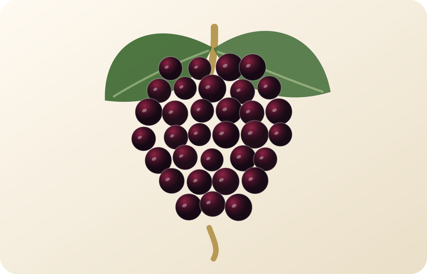 Tempranillo grape illustration