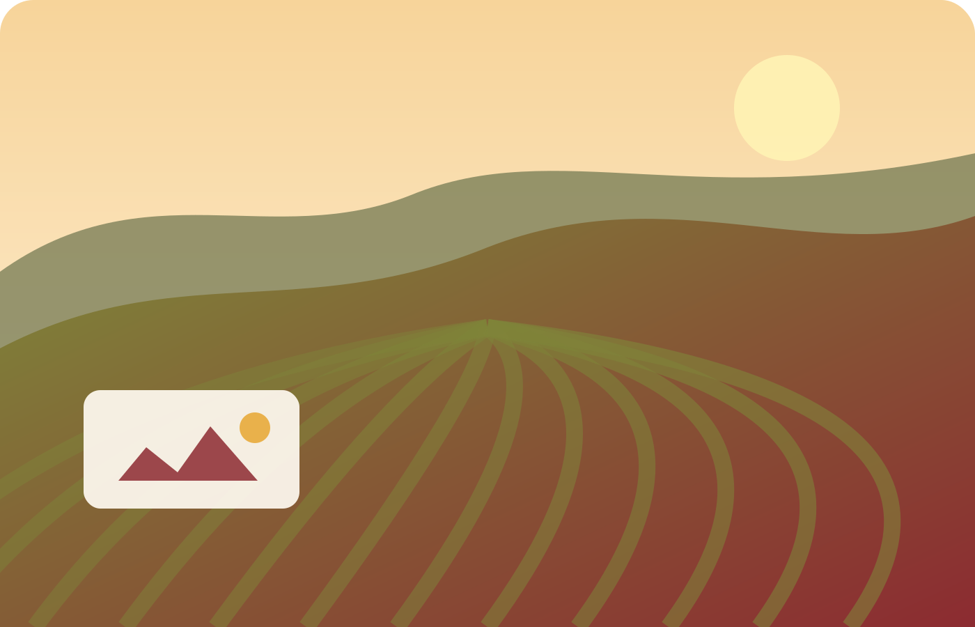 Illustrated Spanish vineyard landscape