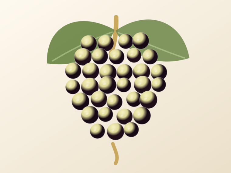 Airén: A Spanish Grape Guide