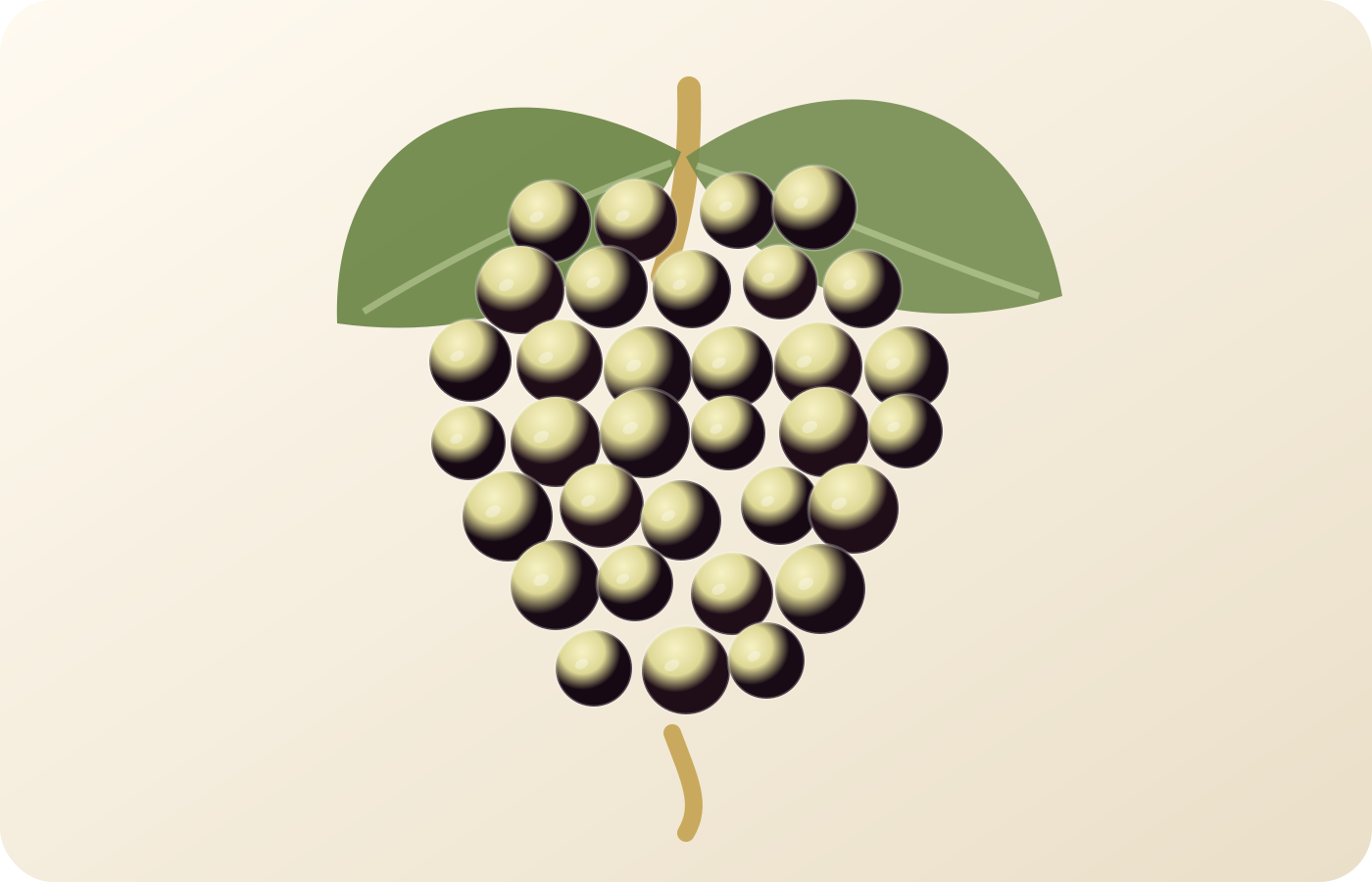 Airén: A Spanish Grape Guide