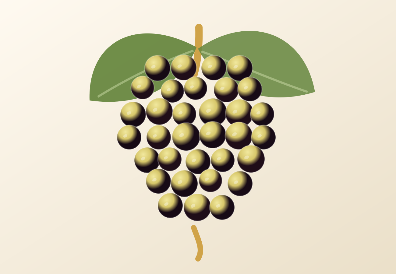 Albariño grape illustration