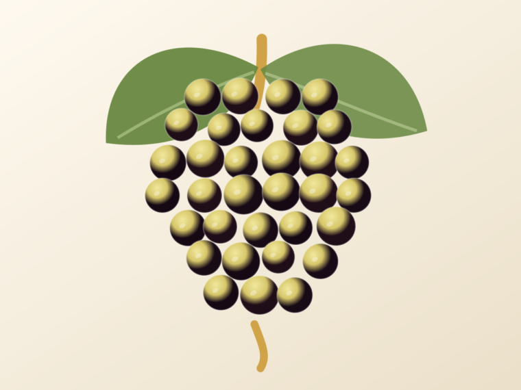 Albariño: A Spanish Grape Guide