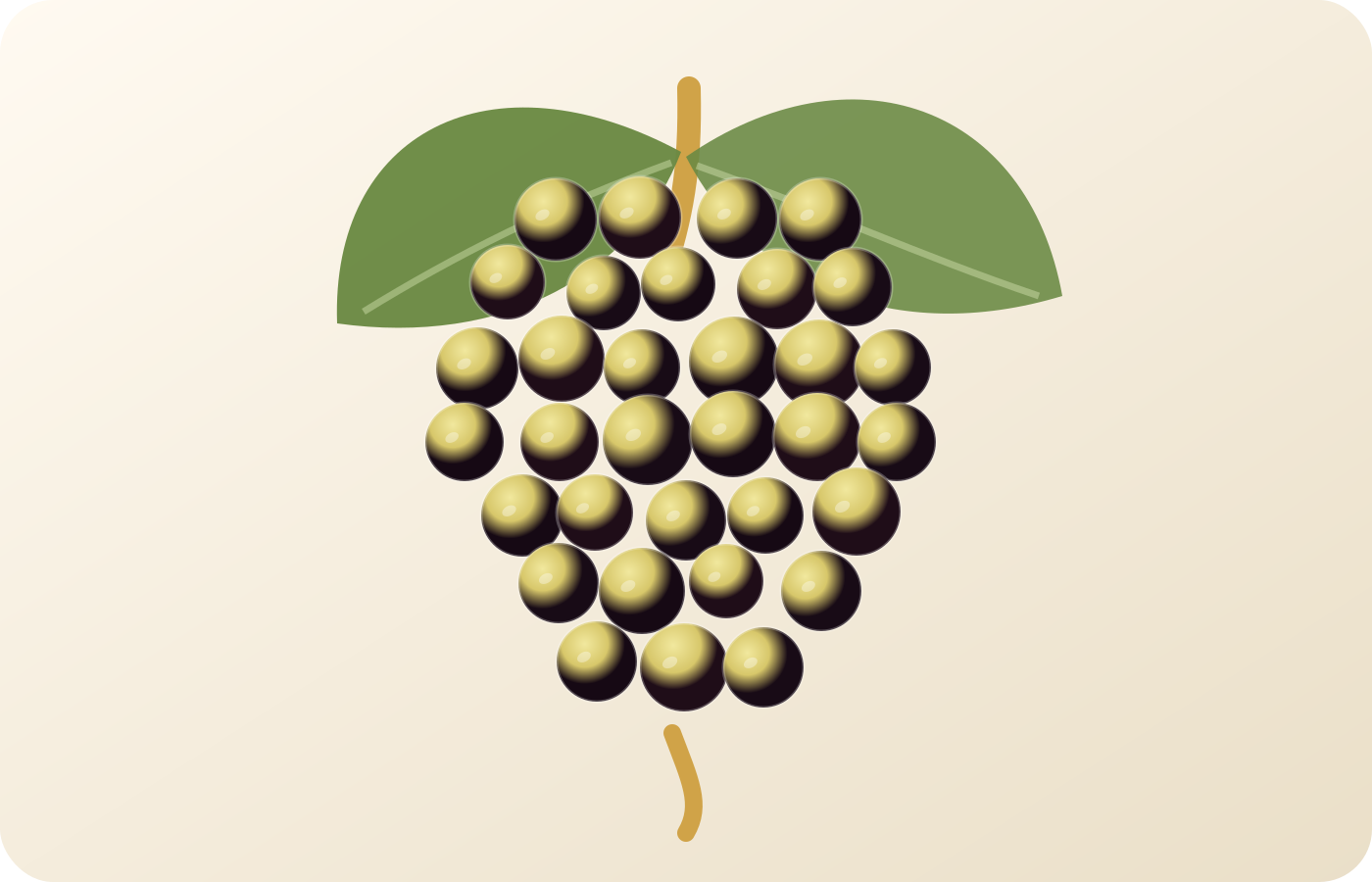Albariño: A Spanish Grape Guide