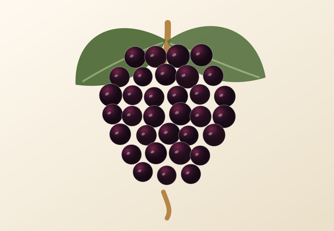 Bobal grape illustration