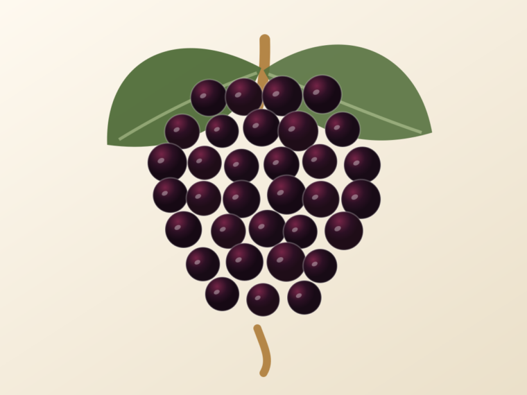 Bobal: A Spanish Grape Guide