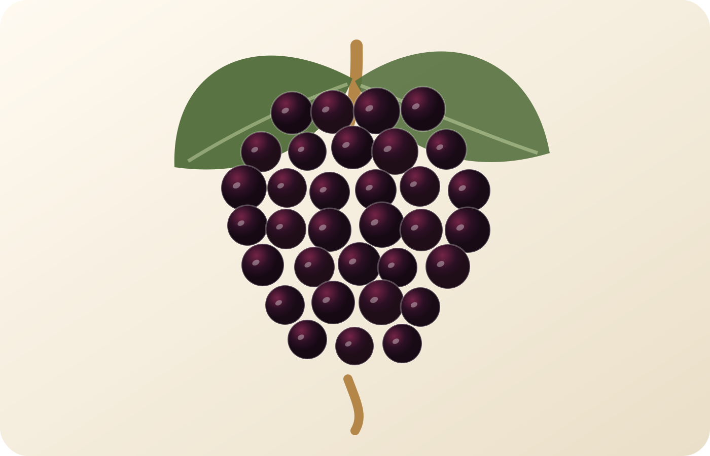 Bobal: A Spanish Grape Guide