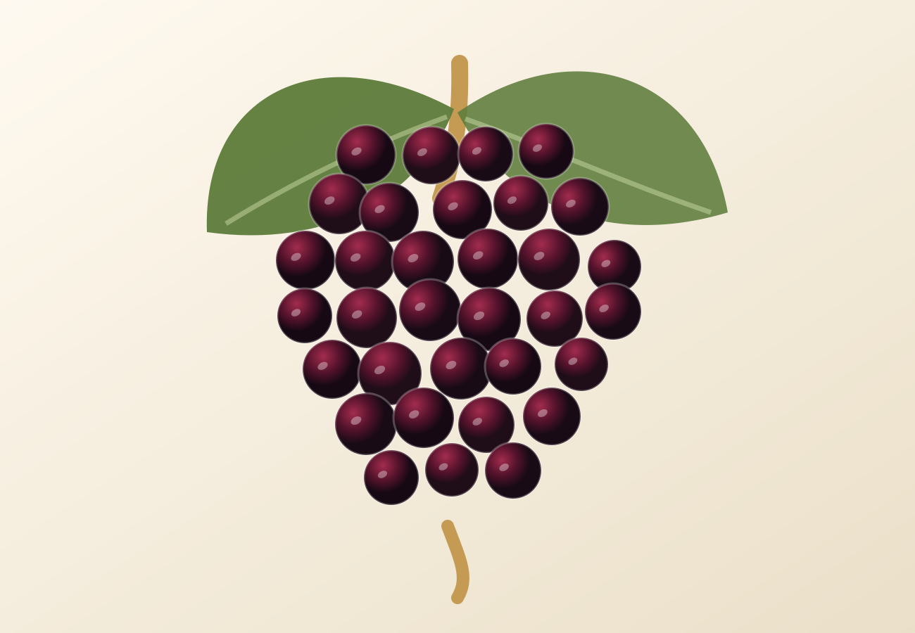 Garnacha grape illustration