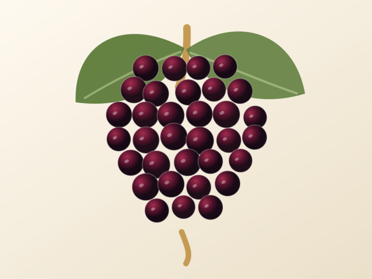 Garnacha: A Spanish Grape Guide