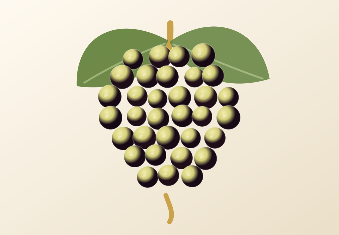 Godello grape illustration