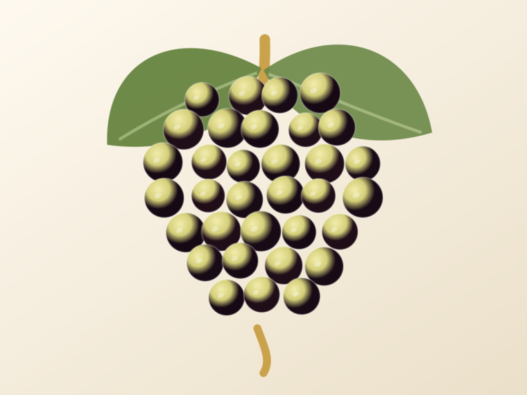 Godello: A Spanish Grape Guide