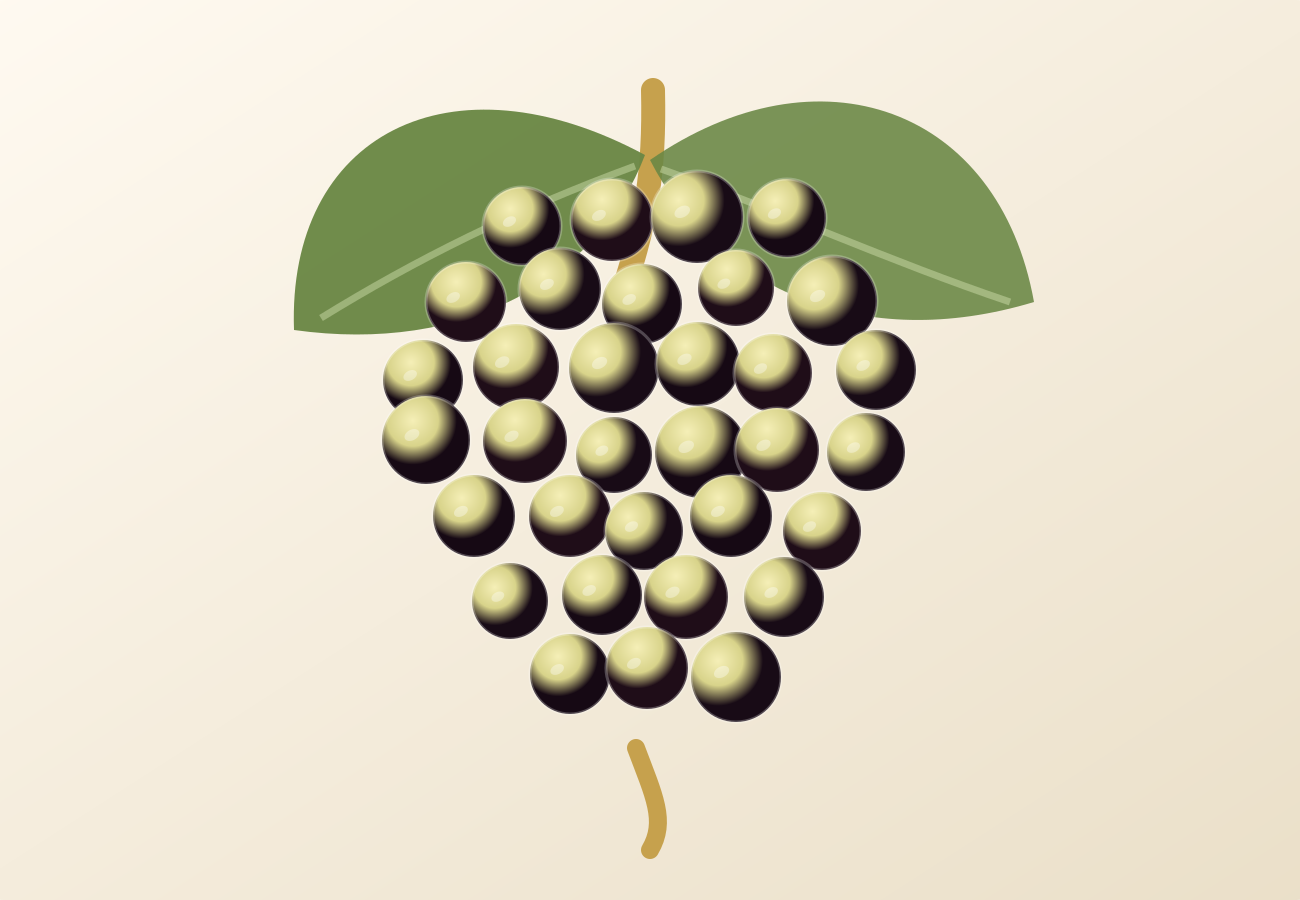 Macabeo / Viura grape illustration