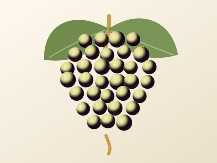 Macabeo / Viura: A Spanish Grape Guide