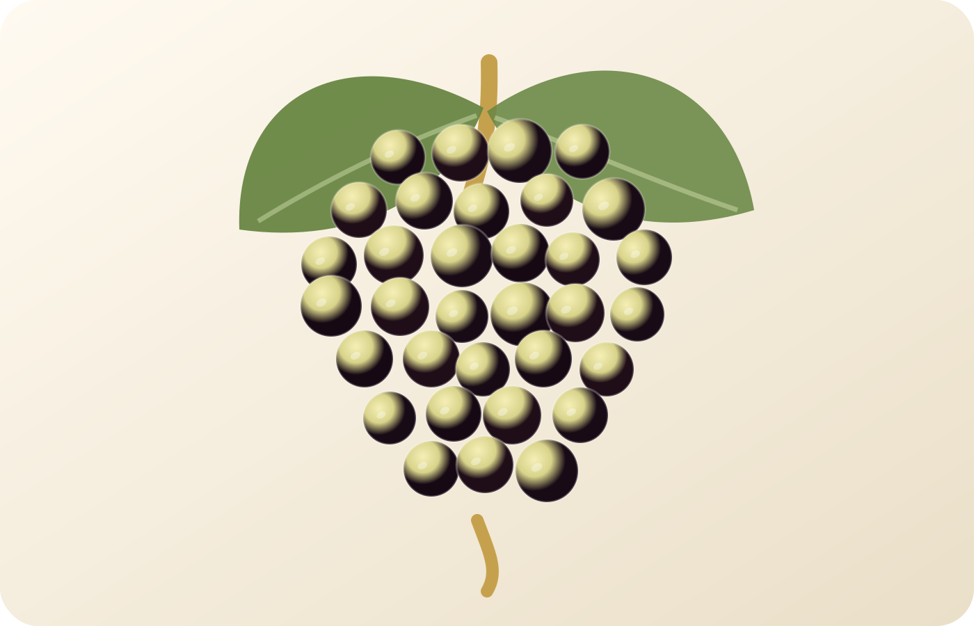 Macabeo / Viura: A Spanish Grape Guide