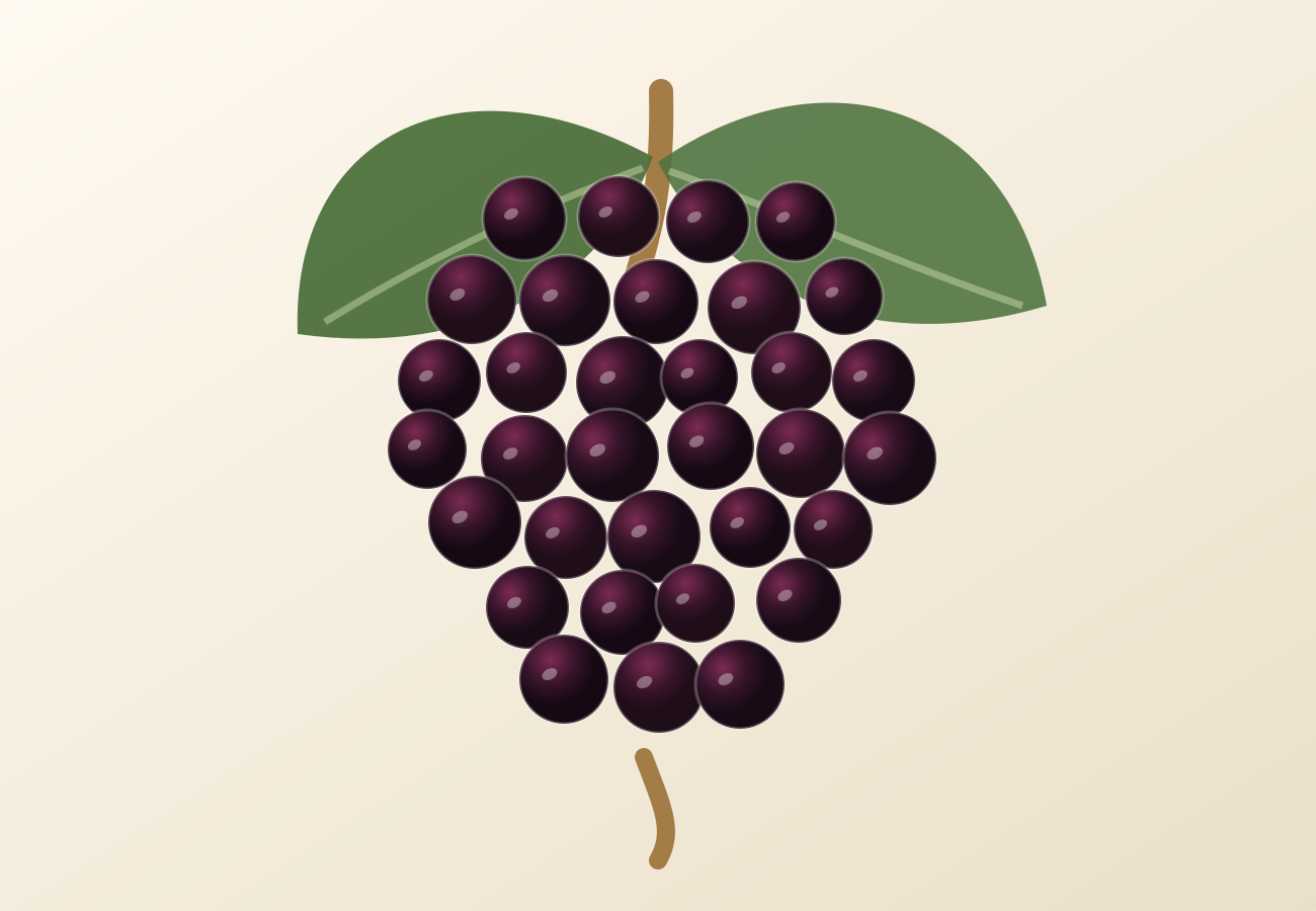 Mencía grape illustration