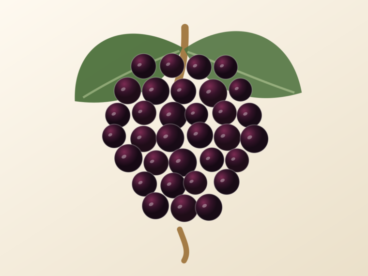 Mencía: A Spanish Grape Guide