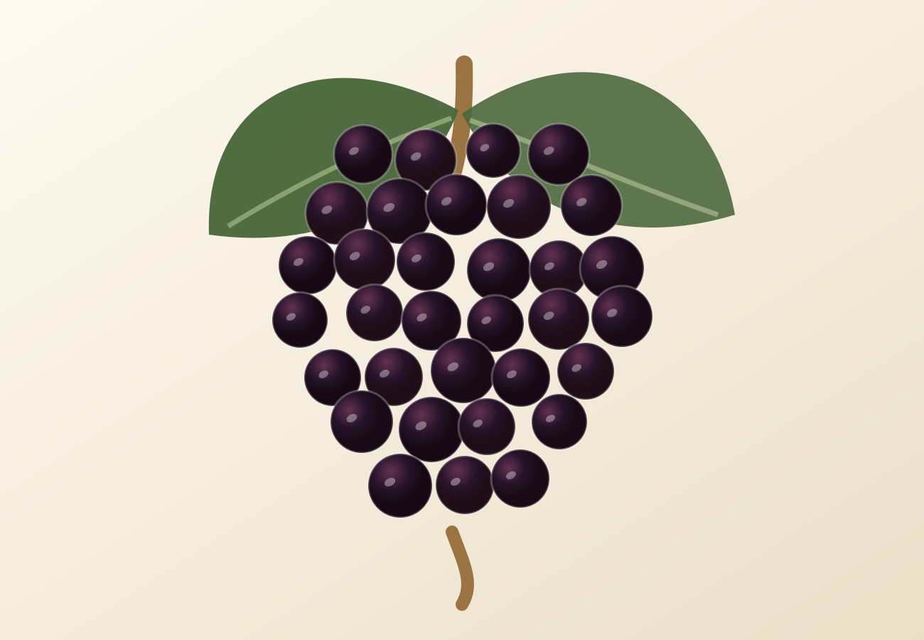 Monastrell grape illustration