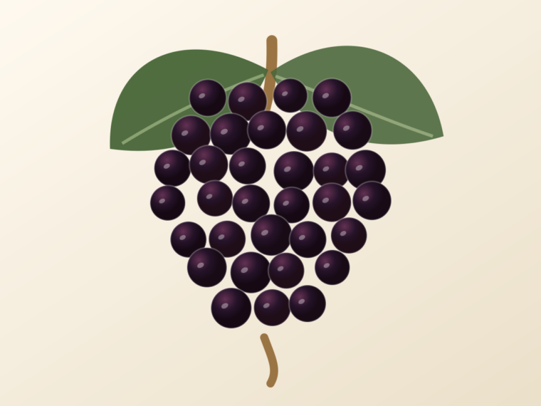 Monastrell: A Spanish Grape Guide