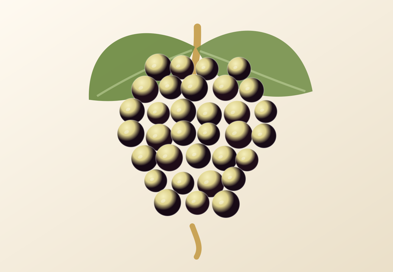 Palomino grape illustration