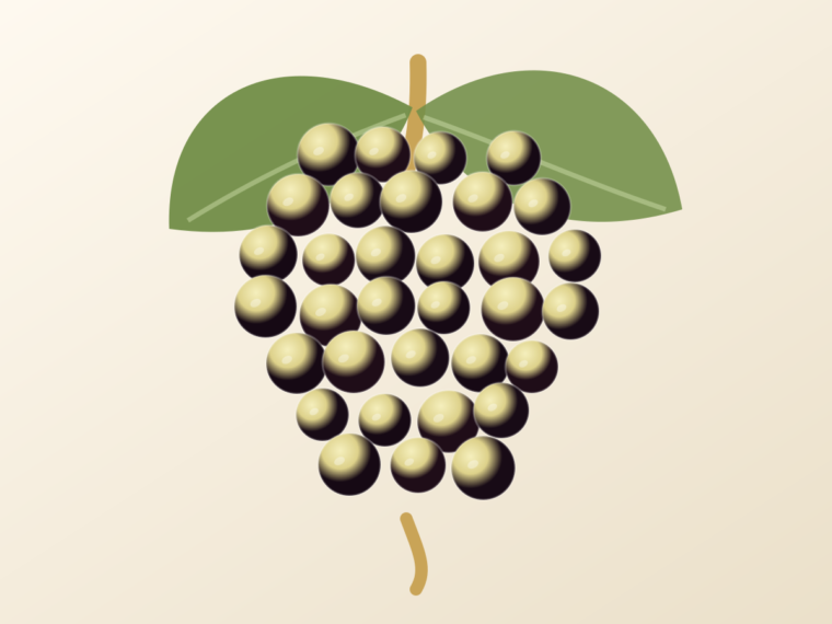 Palomino: A Spanish Grape Guide