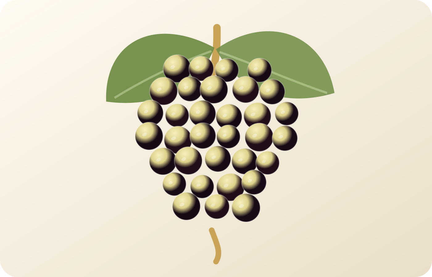 Palomino: A Spanish Grape Guide