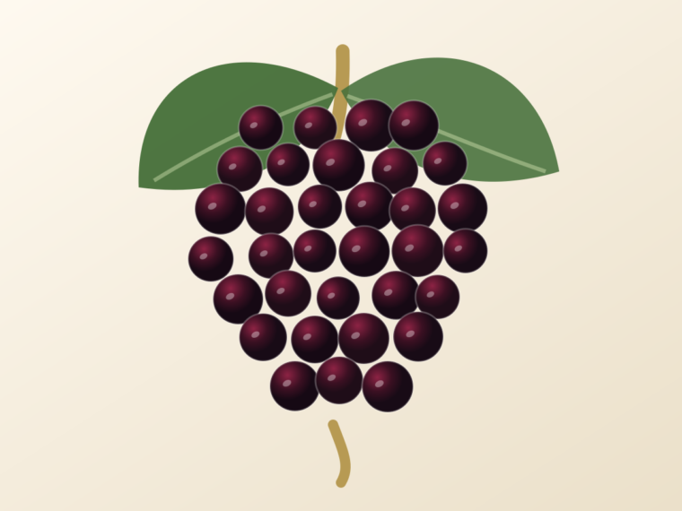 Tempranillo: A Spanish Grape Guide