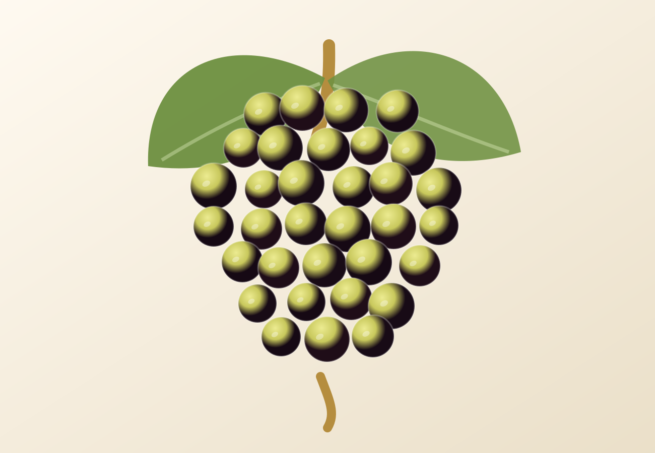 Verdejo grape illustration