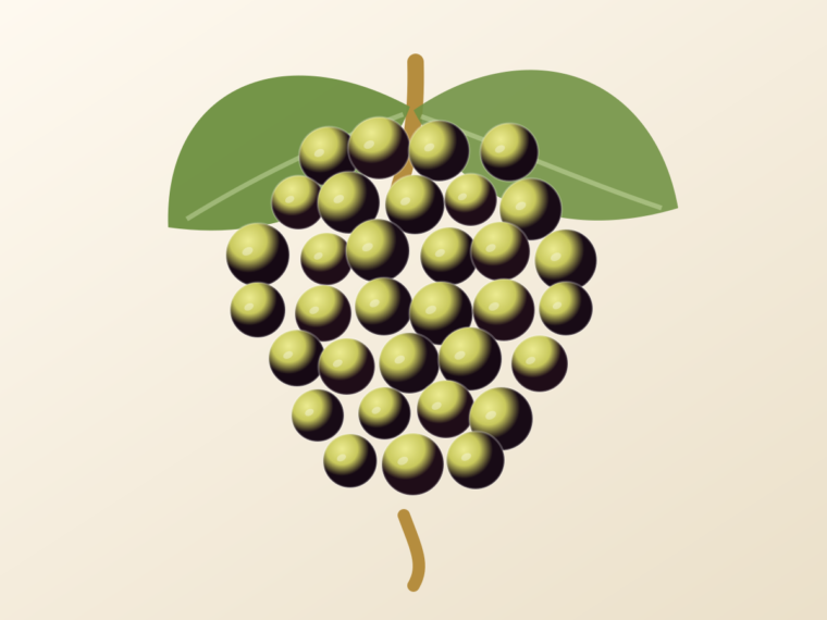 Verdejo: A Spanish Grape Guide