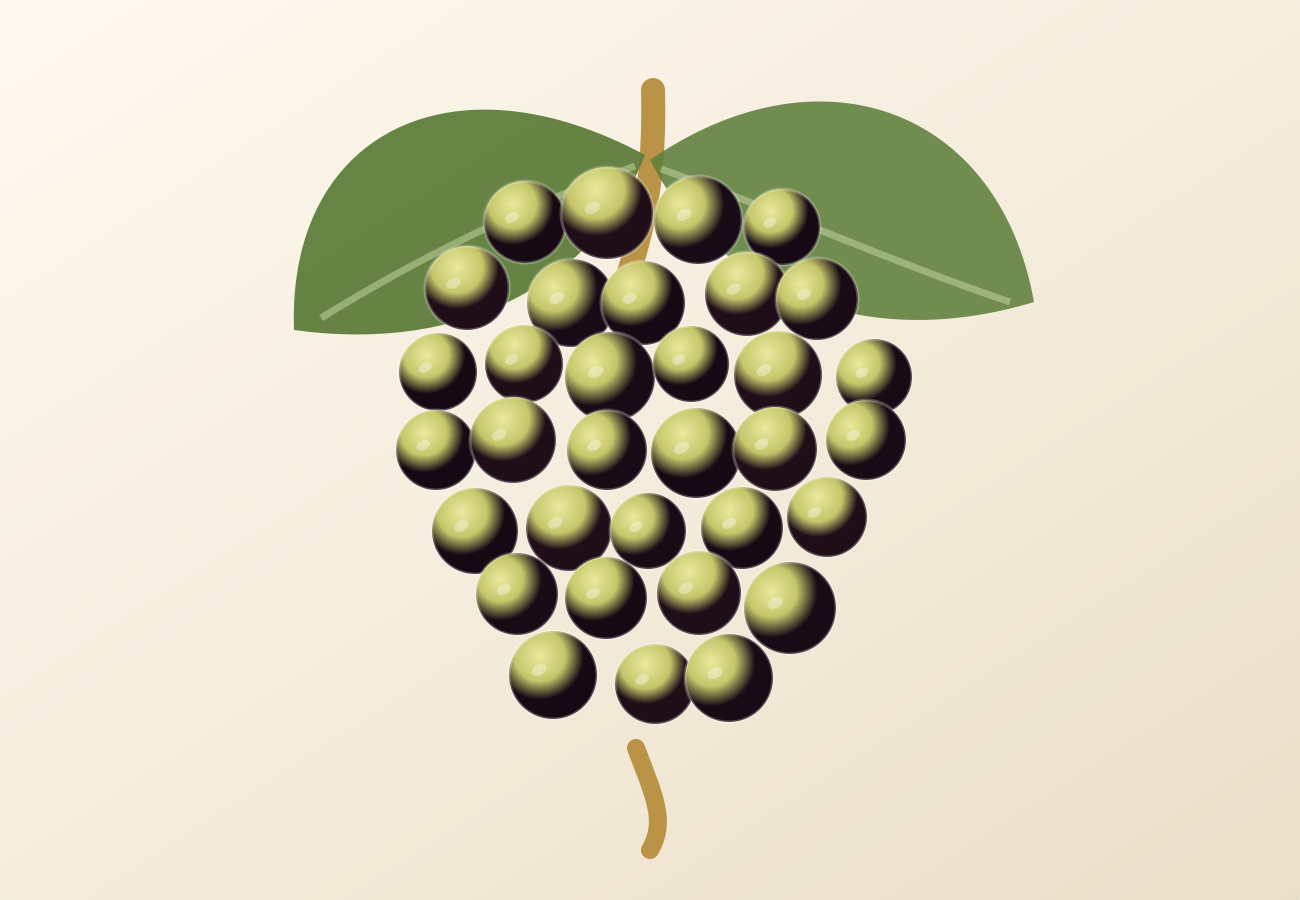 Xarel·lo grape illustration