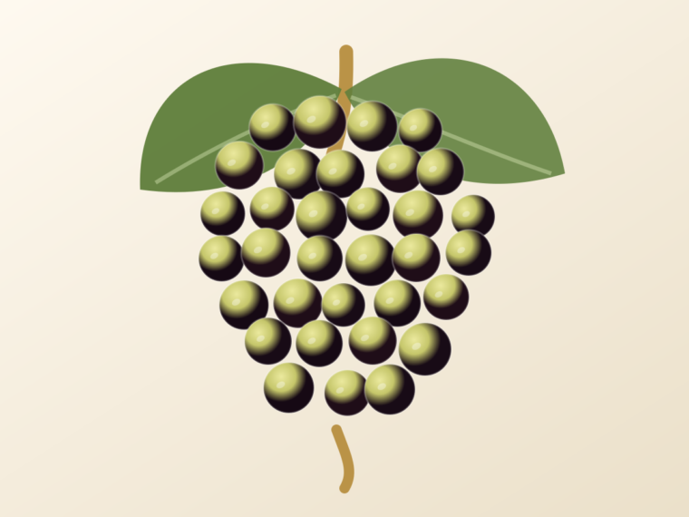 Xarel·lo: A Spanish Grape Guide