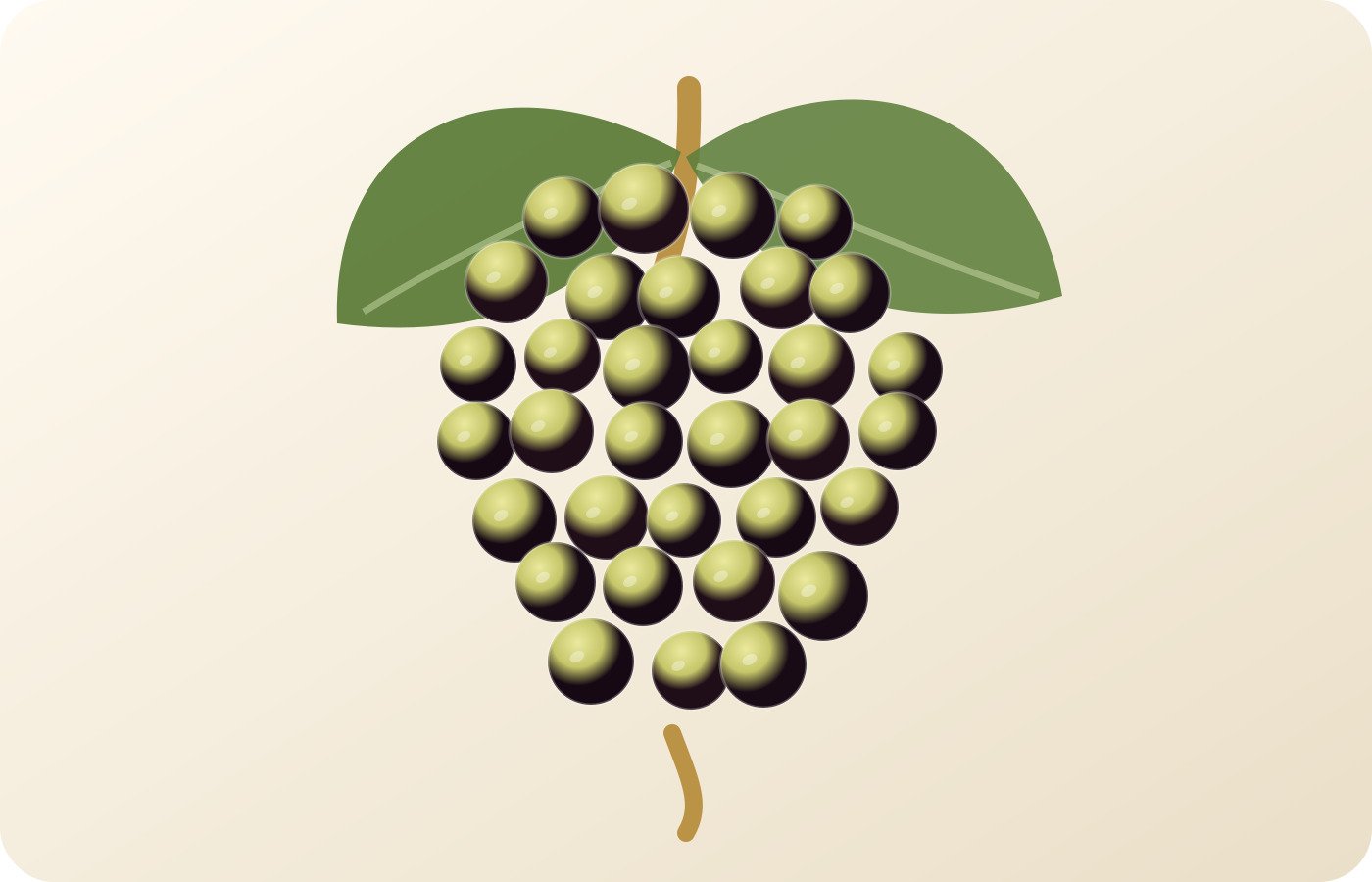 Xarel·lo: A Spanish Grape Guide