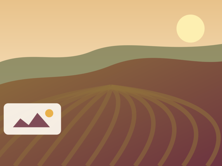Understanding Spanish Wine Classifications