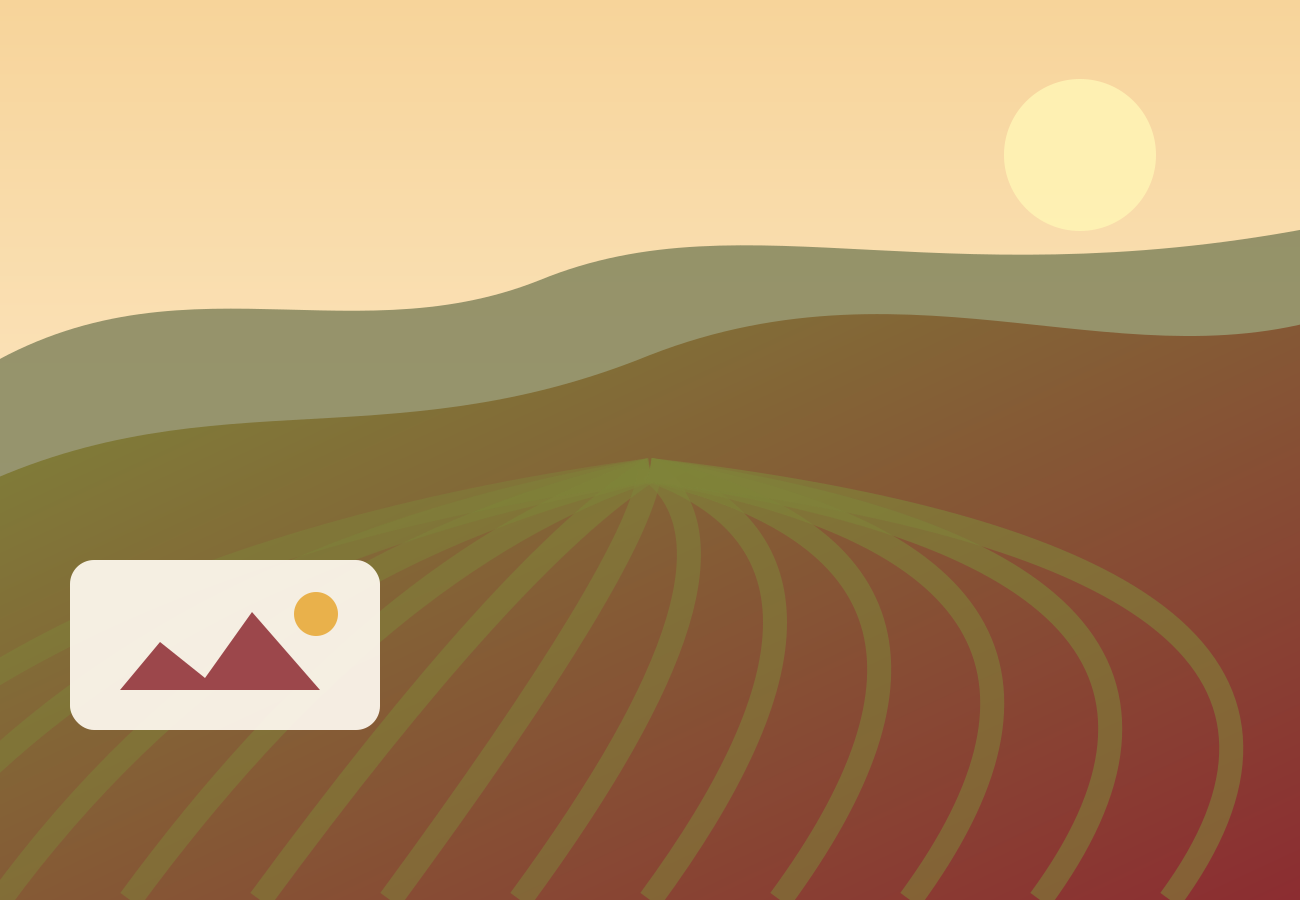 Spanish Wine Regions