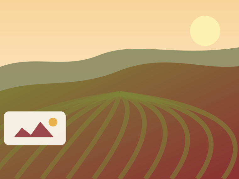 Spanish Wine Regions: Atlantic, Continental, Mediterranean and Island Spain